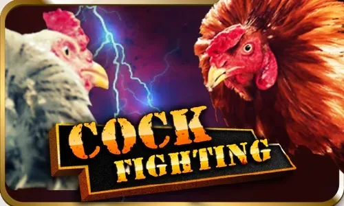 SV388 Cock Fighting