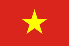 flag-vi-active